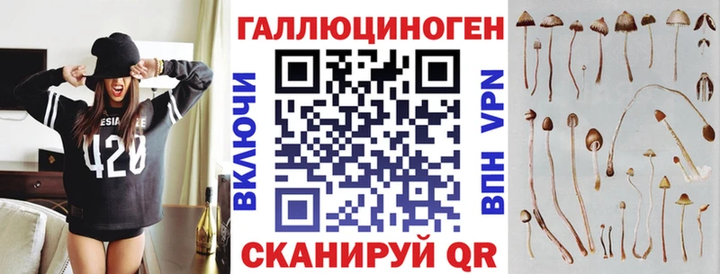 Псилоцибиновые грибы мицелий  где купить наркотик  МЕГА ссылки  shop официальный сайт  Балахна 